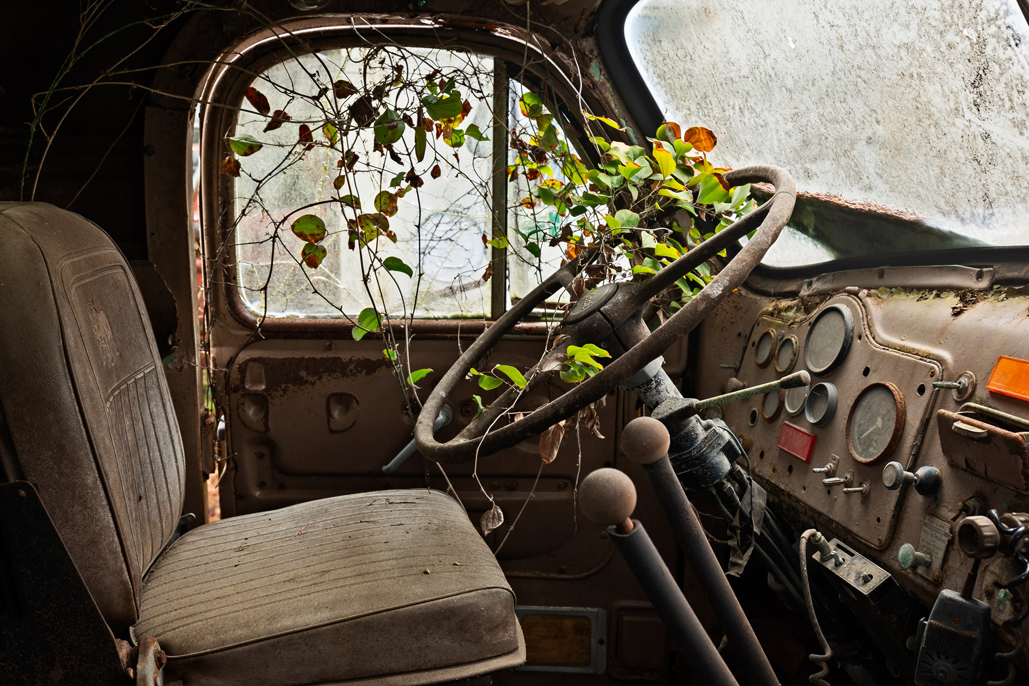 Abandoned truck with vines-Who