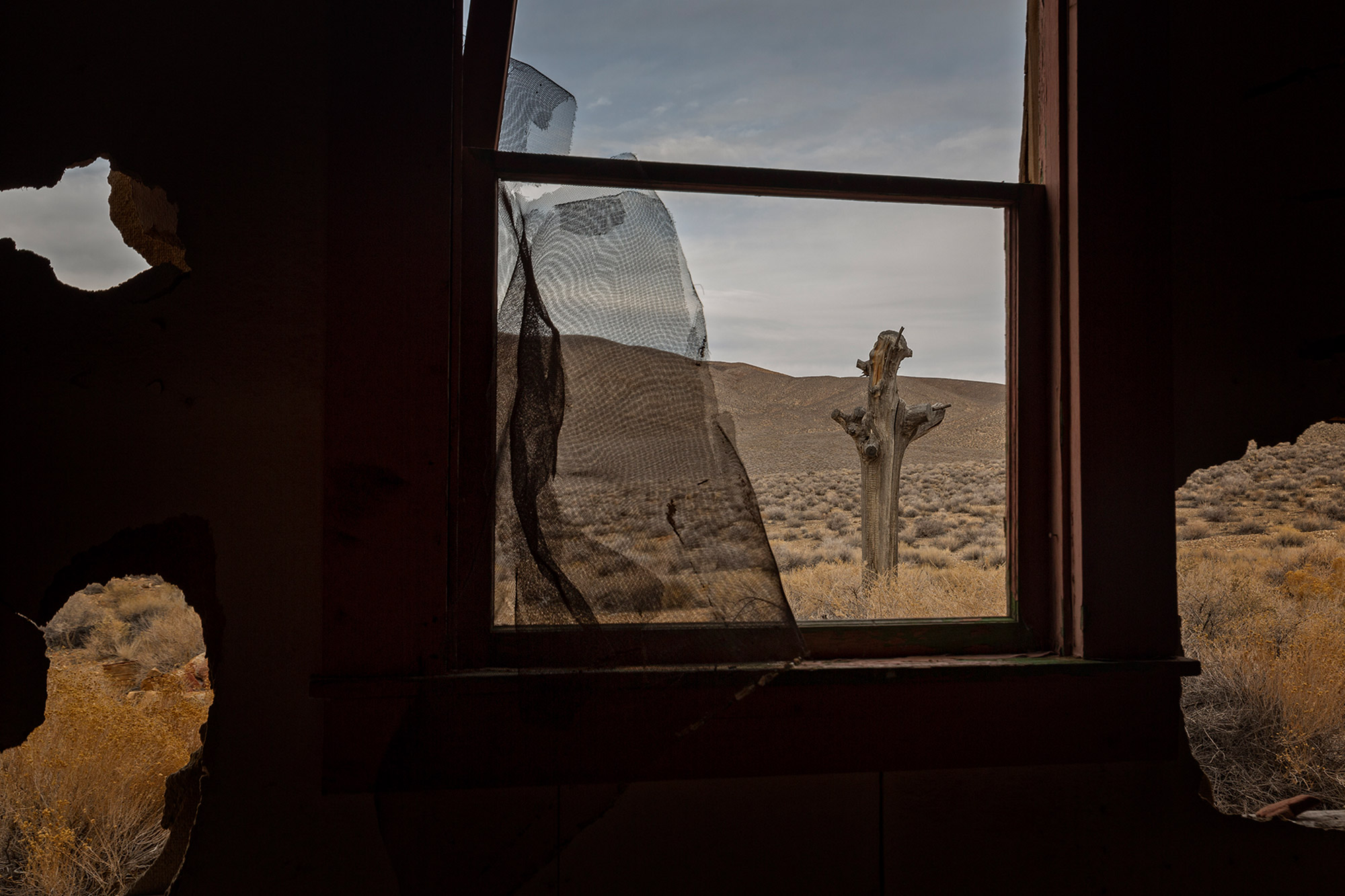 Abandoned house windows with catcus Death Valley-Desert View