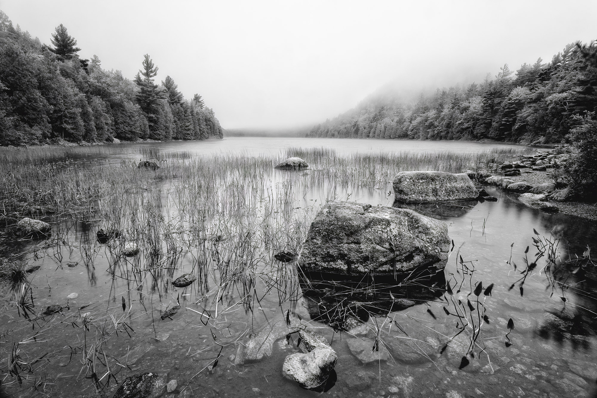 Fog on Bubble Pond with rocks Acadia Maine-Bubble