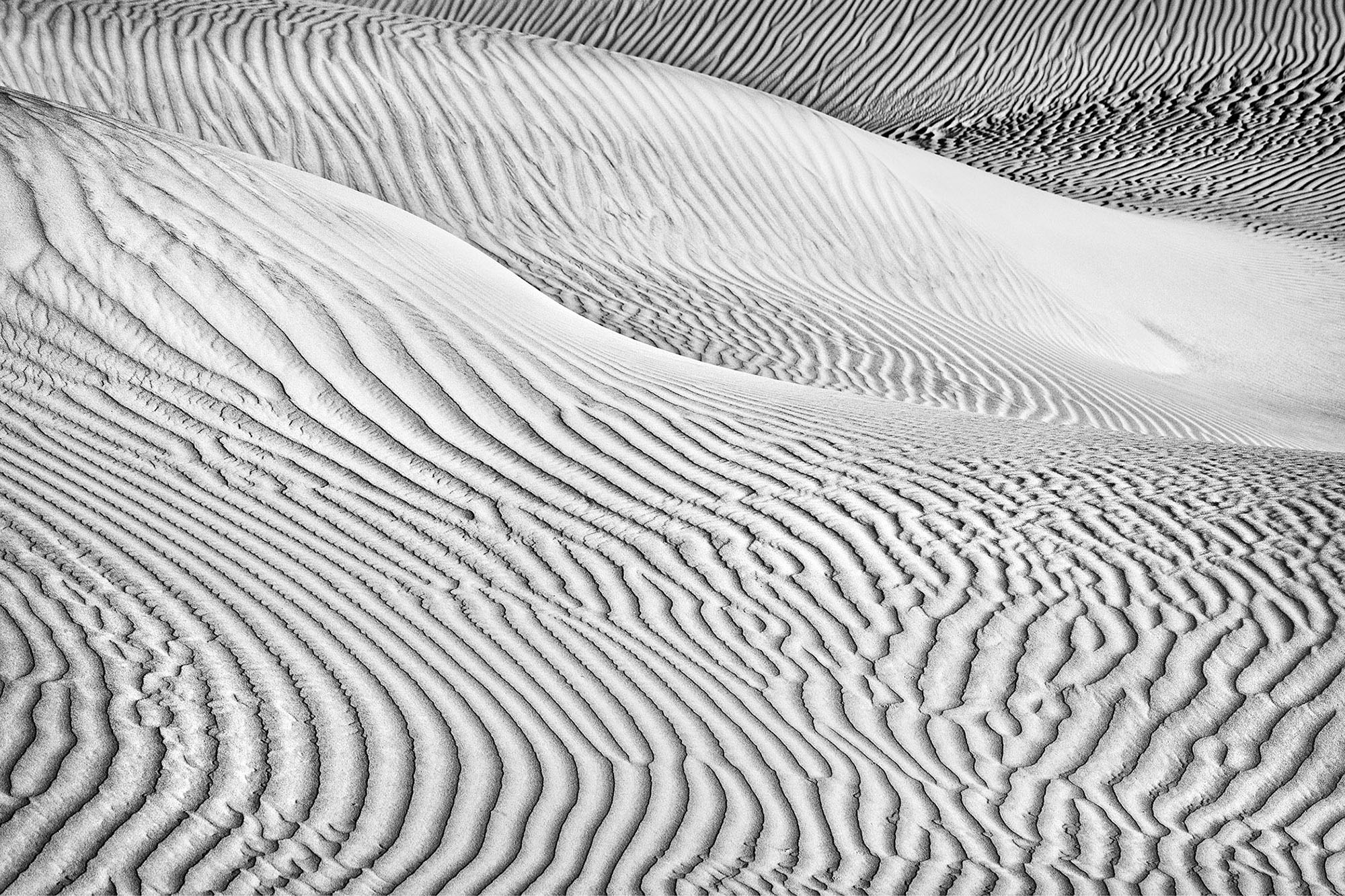 Black and white abstract of sand dunes in Death Valley-Billow