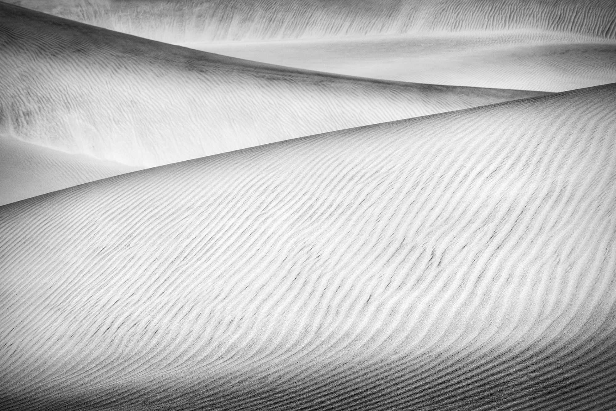Black and white abstract of sand dunes in Death Valley-Crest