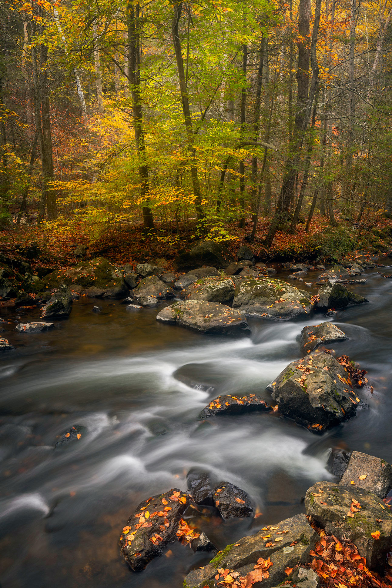 Fall river scene along the Raritan River at Ken Lockwood Gorge, NJ -Enchanted