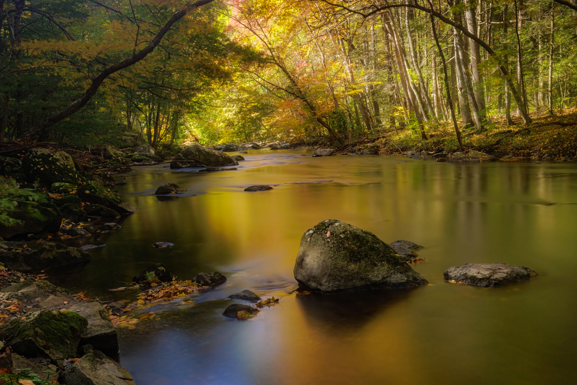 Fall river scene along Ken Lockwood Gorge, New Jersey - Autumn Glow