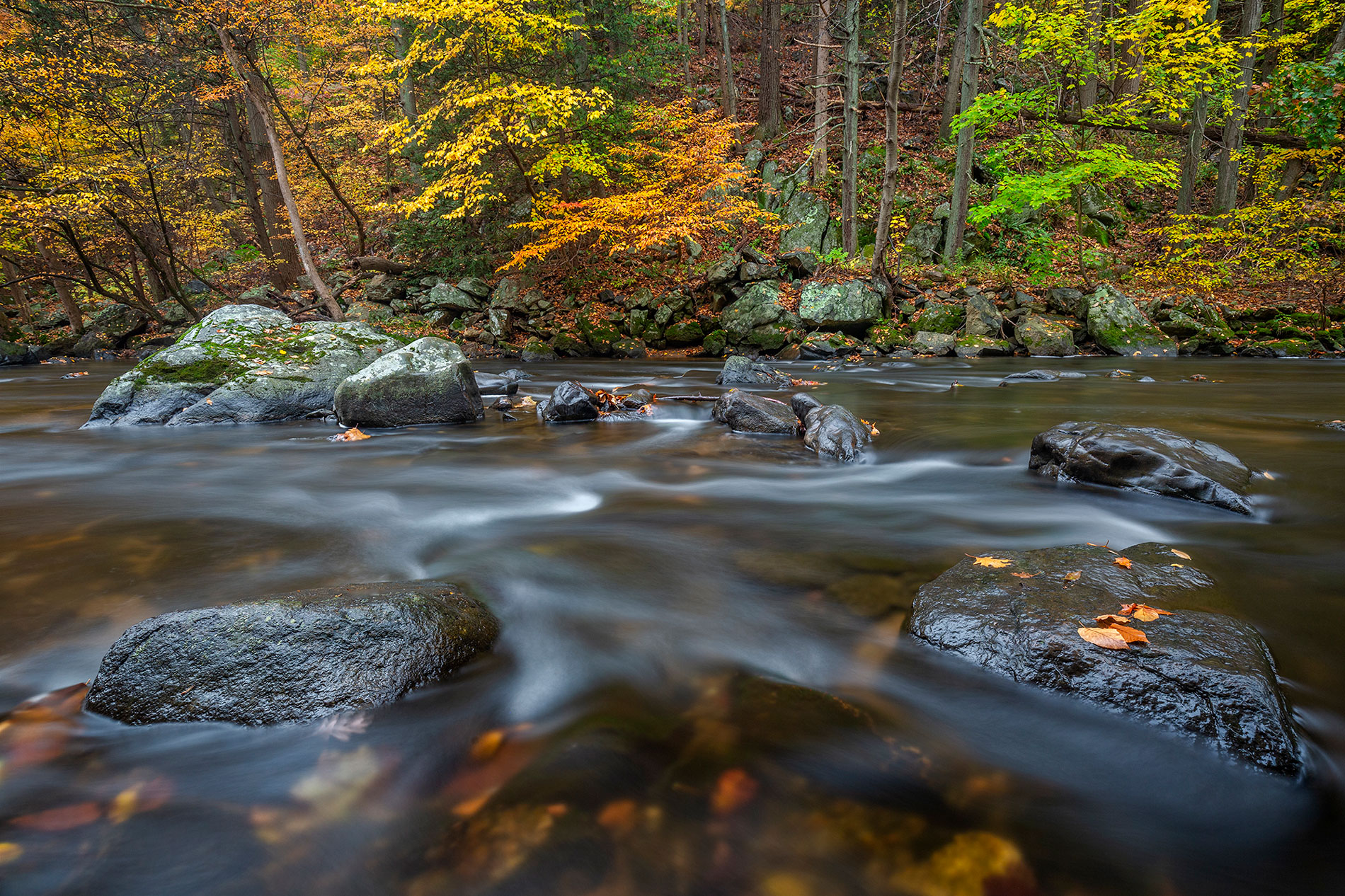 Fall river scene at Ken Lockwood Gorge New Jersey