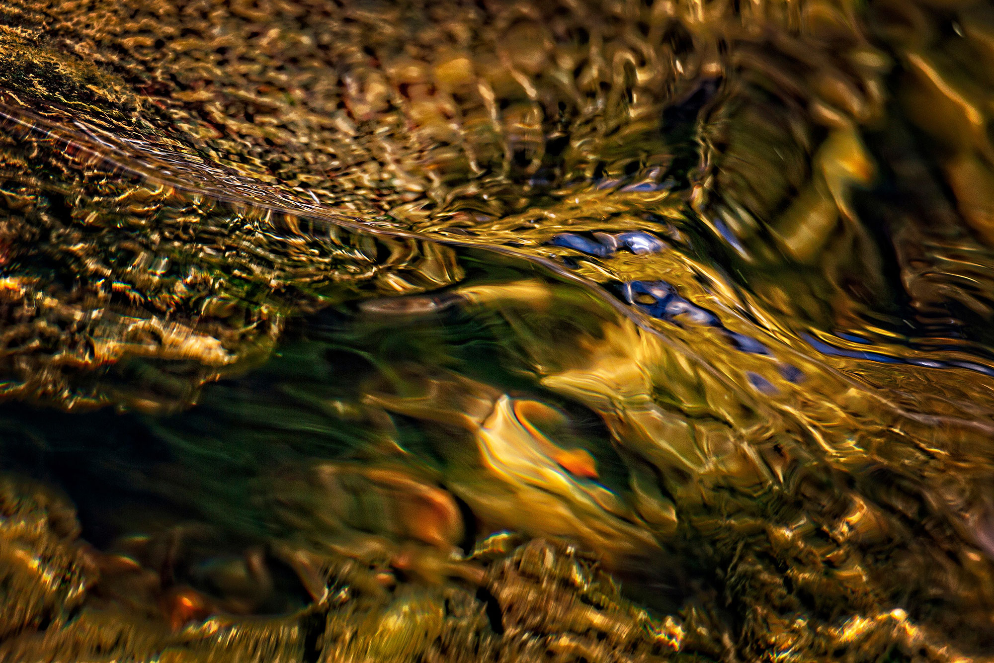 Water abstract photography-New Jersey Fine Art Photographer-Flight