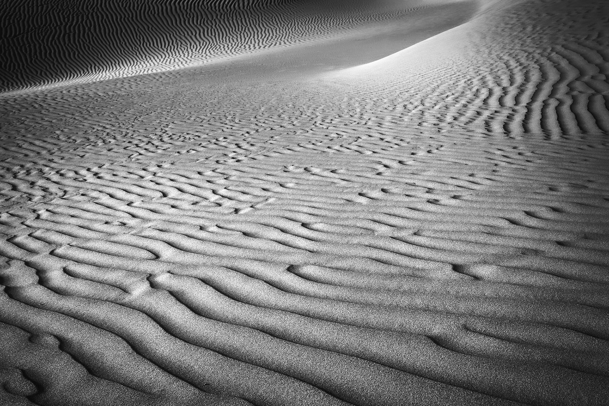 Black and white abstract of sand dunes in Death Valley-Flow
