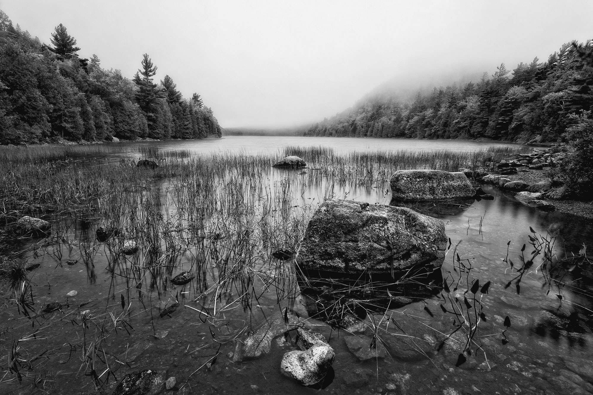 Fog on Bubble Pond with rocks Acadia Maine- Bubble