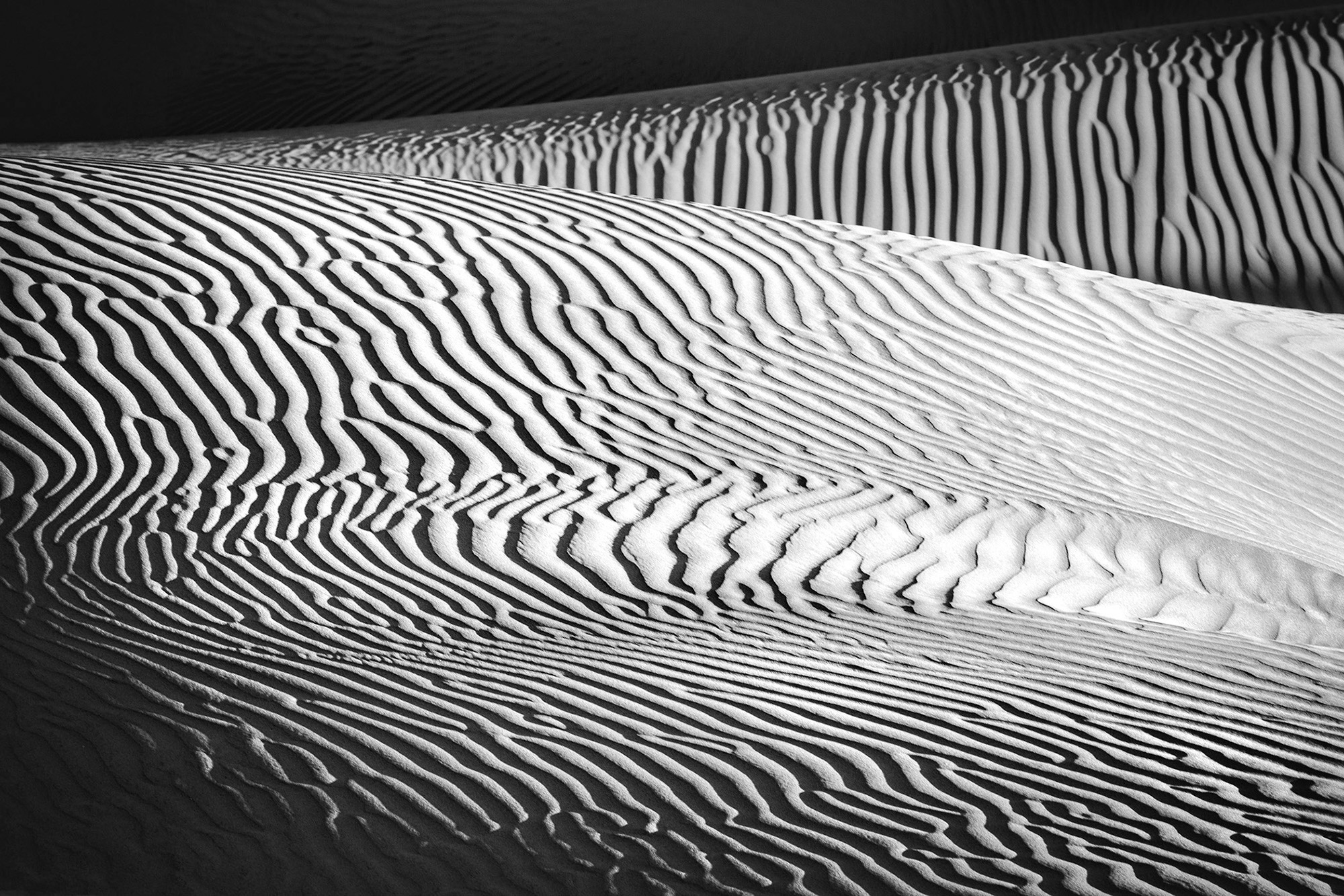 Black and white abstract of sand dunes in Death Valley-Ripple