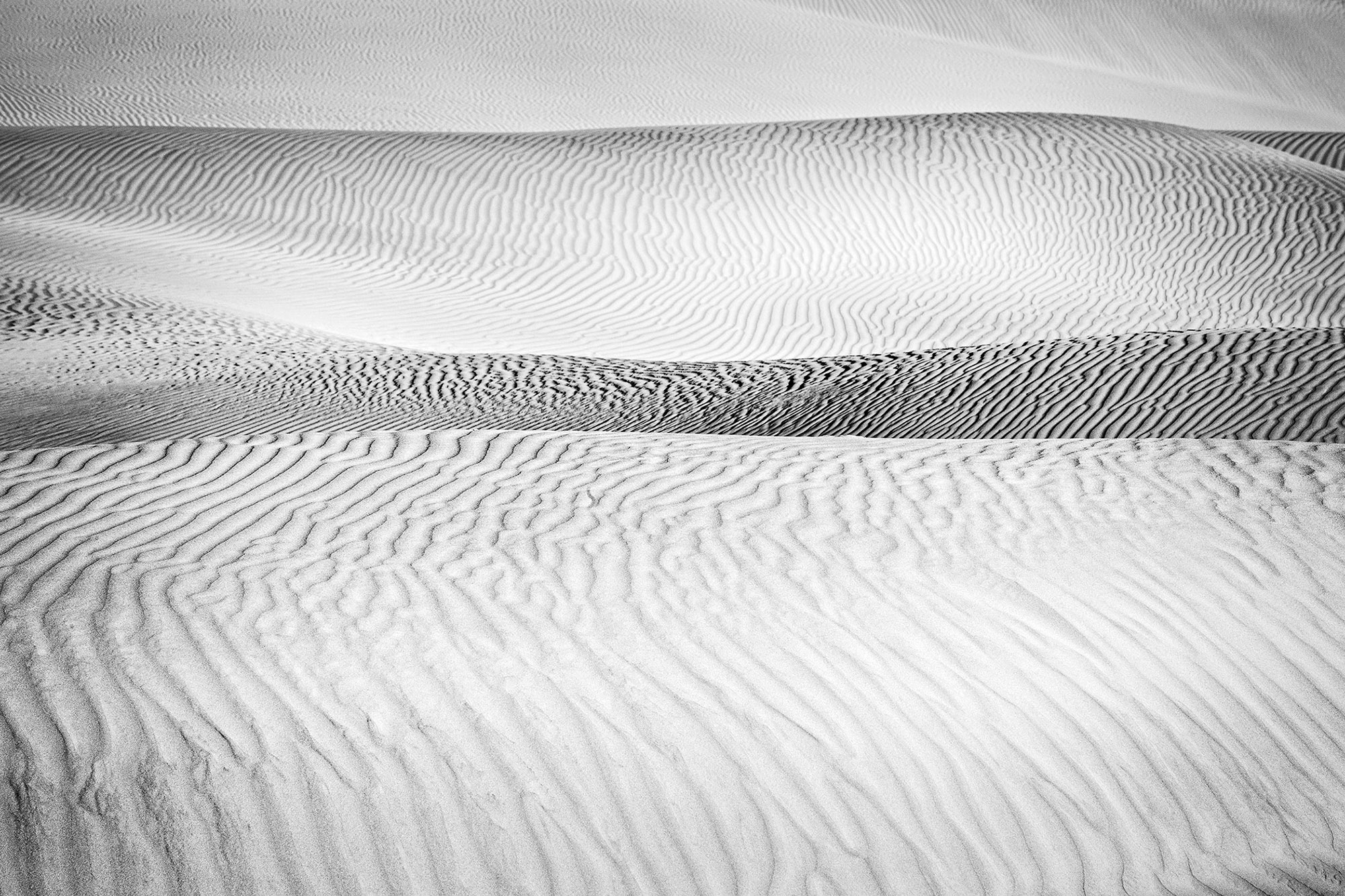 Black and white abstract of sand dunes in Death Valley-Roller