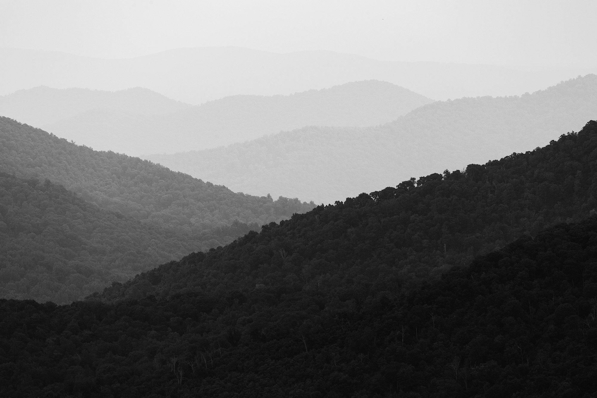 Shenandoah Blue Ridge Mountains  - 2