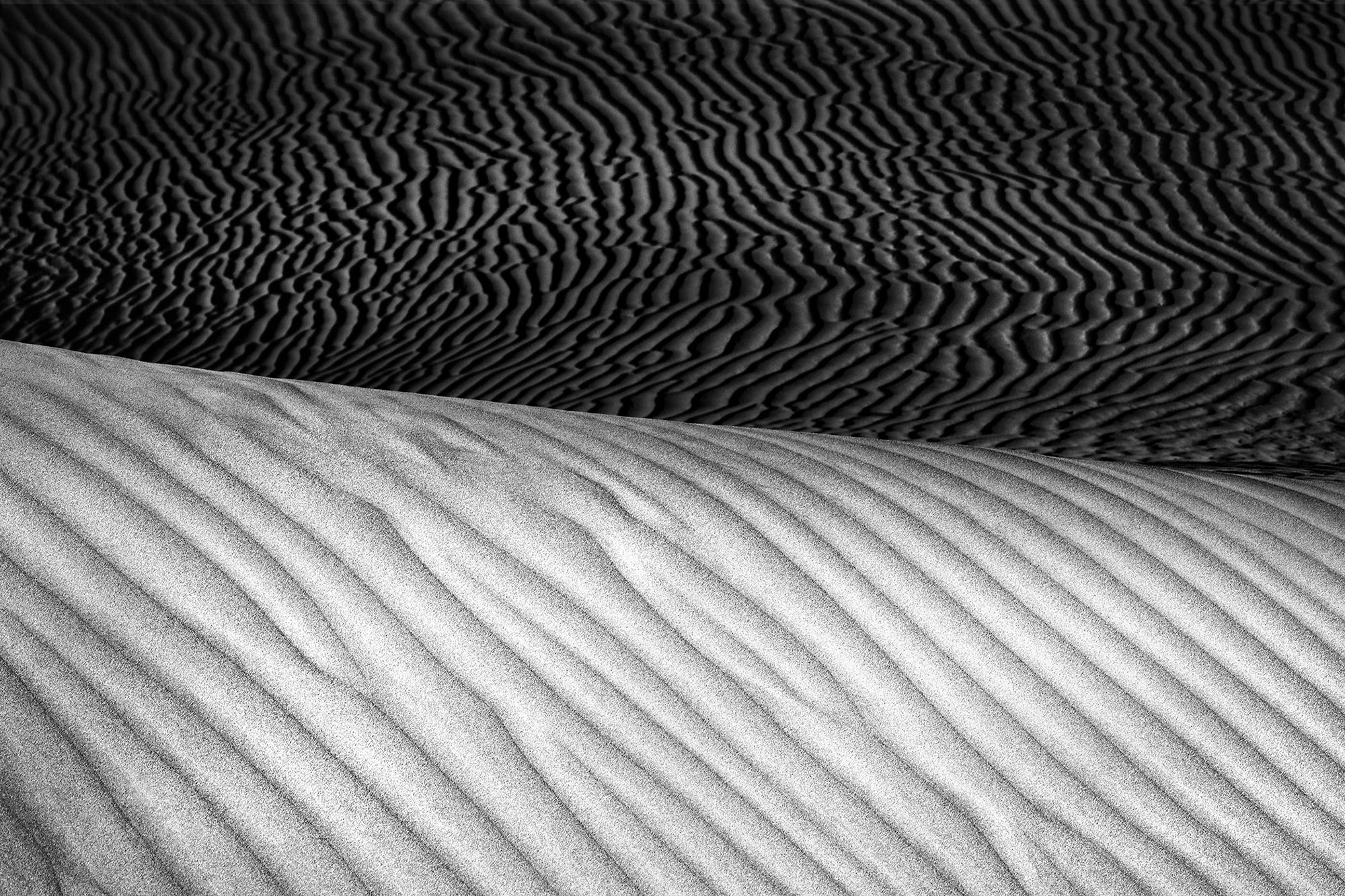 Black and white abstract of sand dunes in Death Valley-Swell