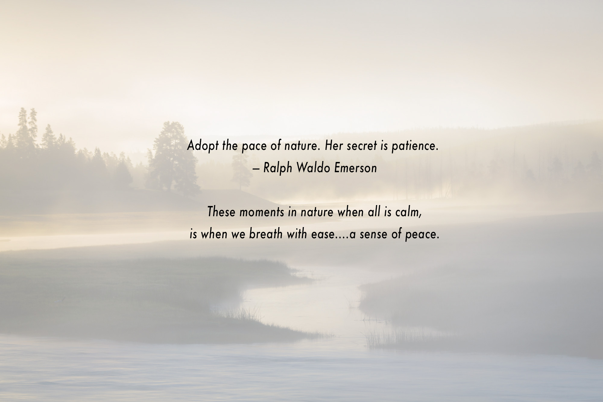Tranquility-Madison-River-morning-fog-Yellowstone-National-Park-intro