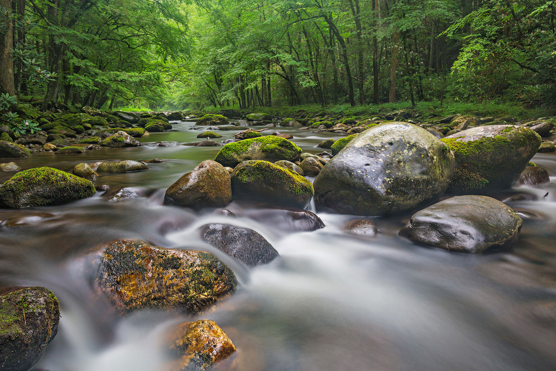Summer river scene at Tremont area Great Smoky Mountains-Tremont Falls