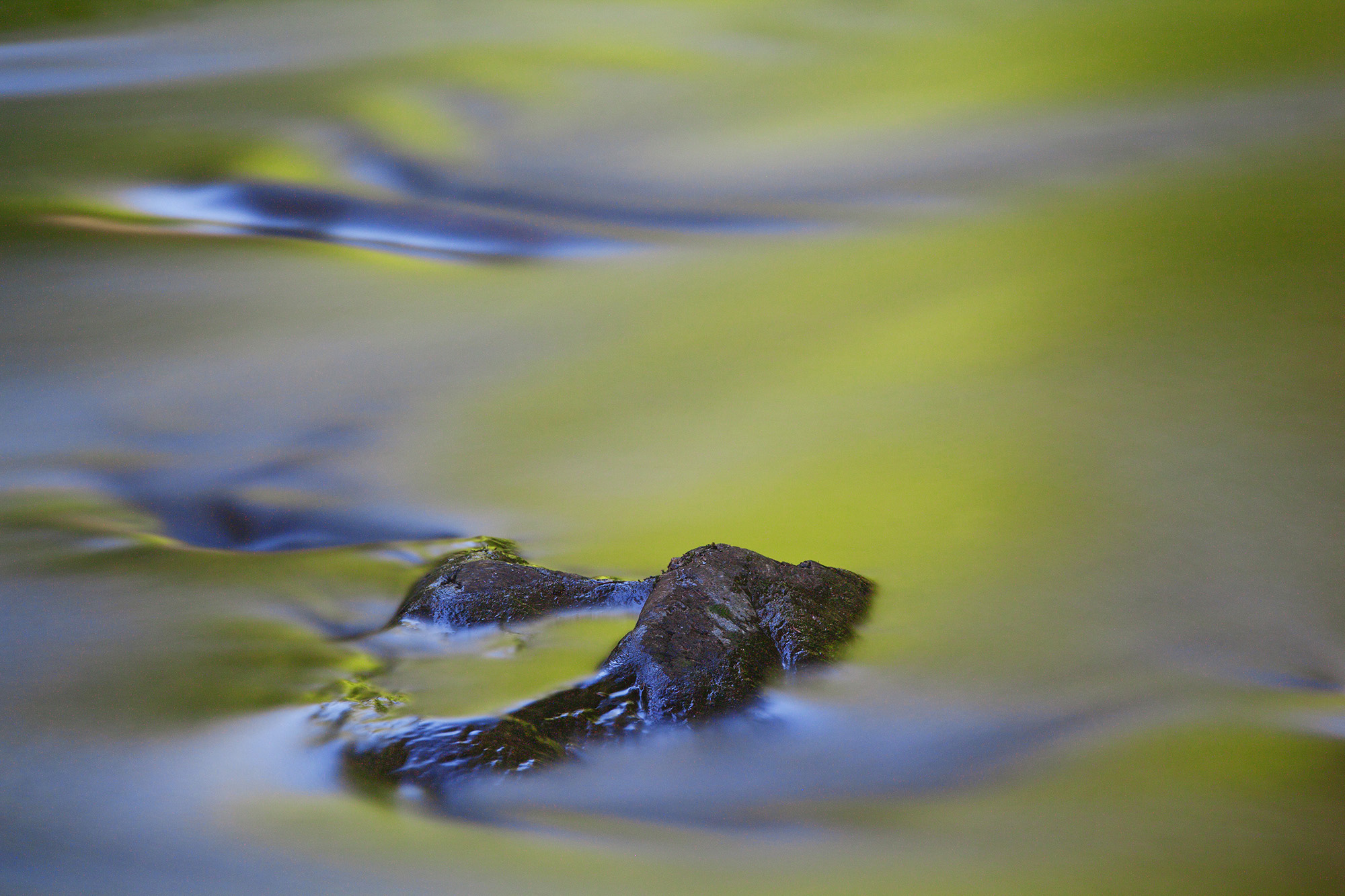 Water abstracted created in Great Smoky Mountains National Park